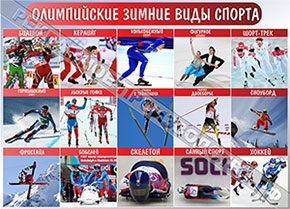 Стенд Олимпийские зимние виды спорта